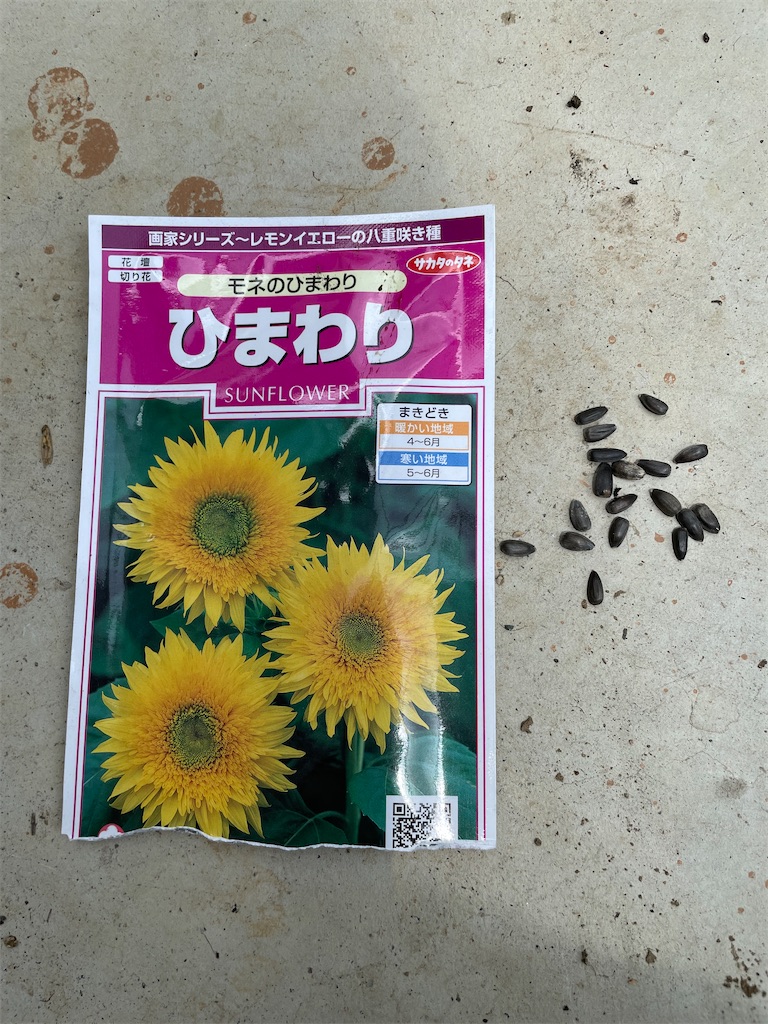 f:id:sakana78:20210619080443j:image