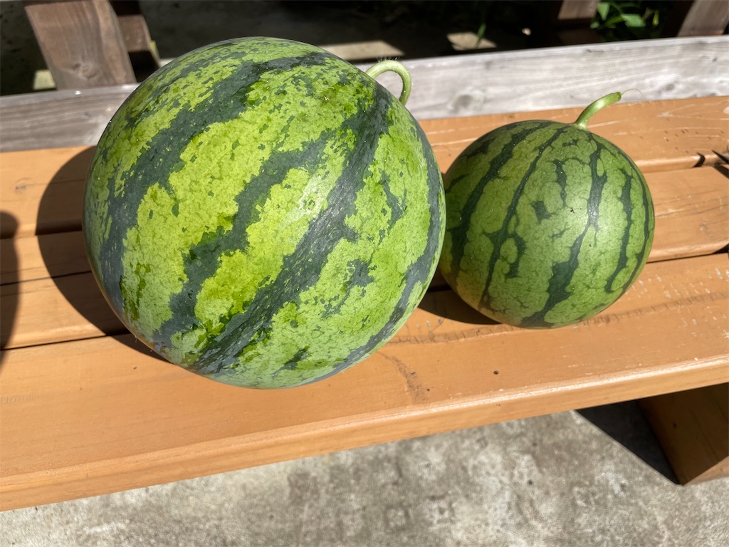 f:id:sakana78:20210721210849j:image