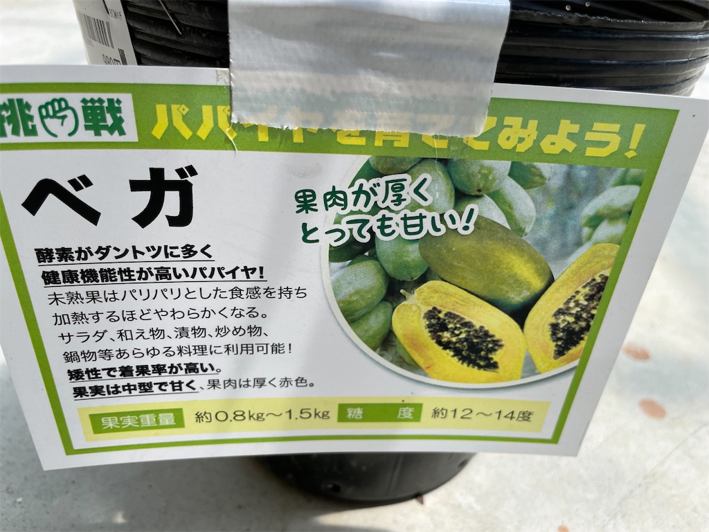 f:id:sakana78:20210730213119j:image f:id:sakana78:20210730213119j:image