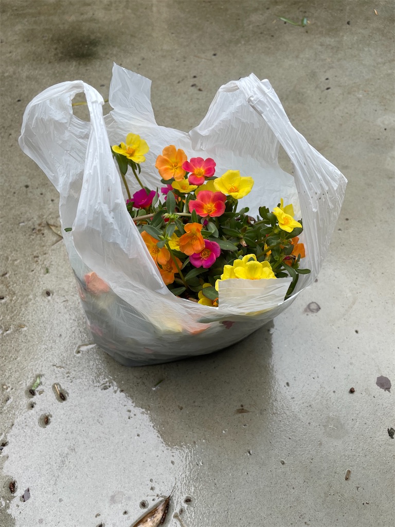 f:id:sakana78:20210811205619j:image f:id:sakana78:20210811205619j:image