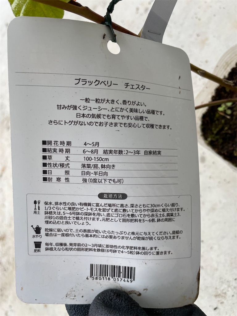 f:id:sakana78:20210823205803j:image