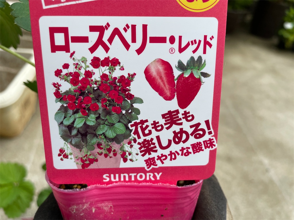 f:id:sakana78:20210923221722j:image f:id:sakana78:20210923221722j:image