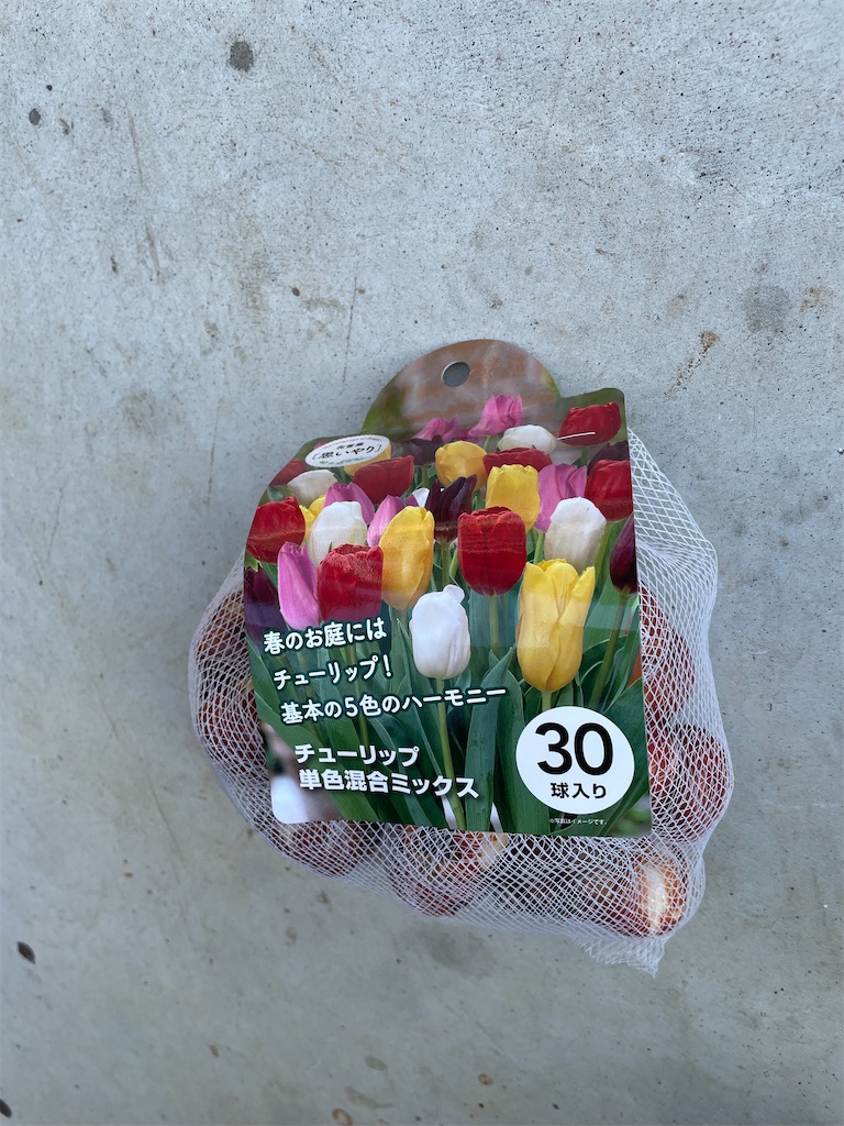 f:id:sakana78:20211105220955j:image