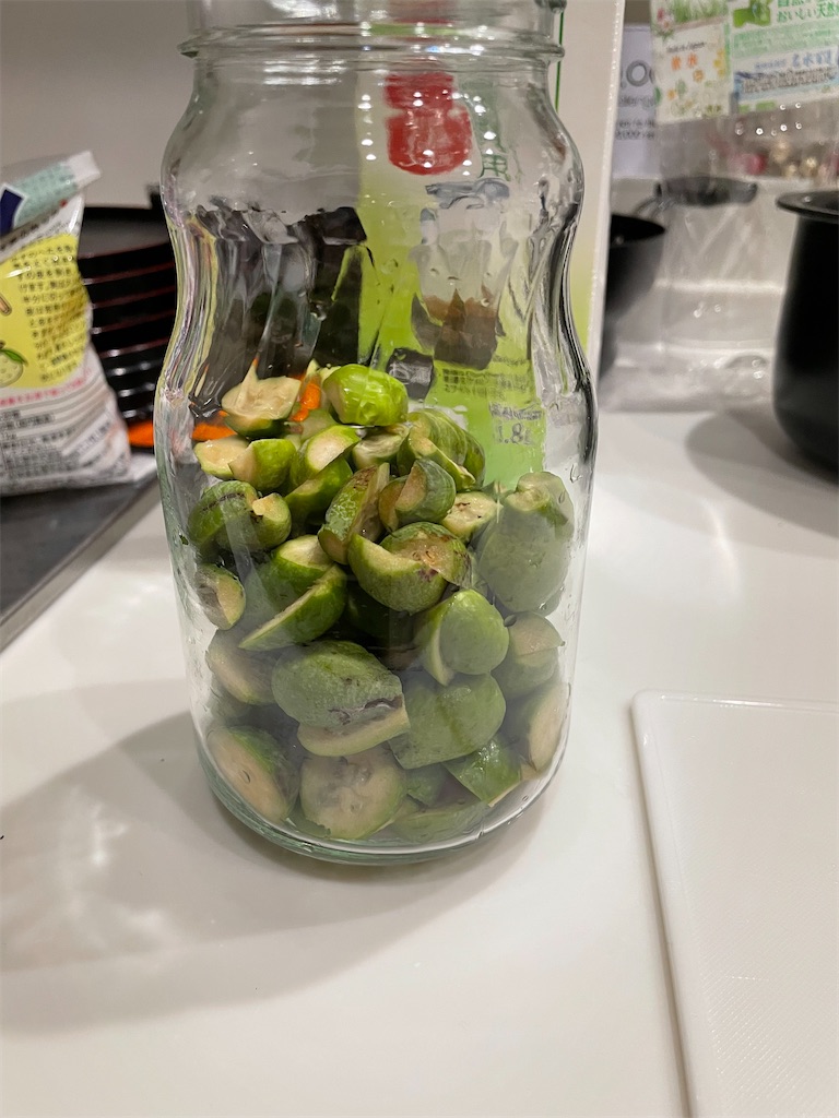 f:id:sakana78:20211116140417j:image