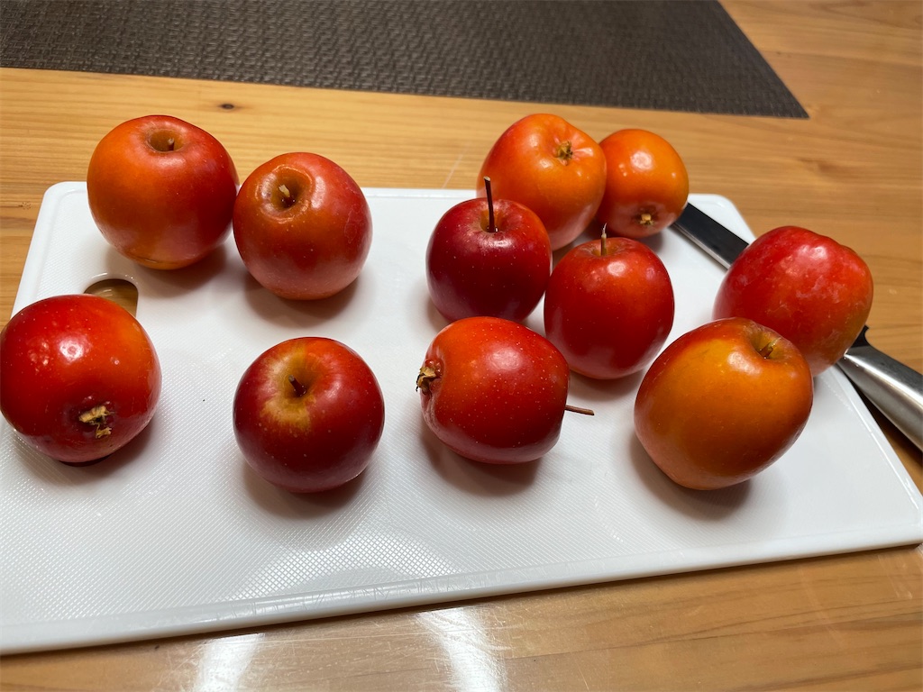 f:id:sakana78:20220113202755j:image