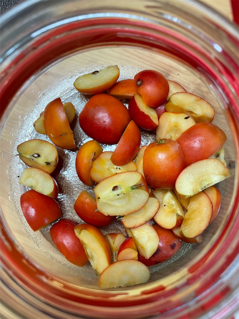 f:id:sakana78:20220113202808j:image