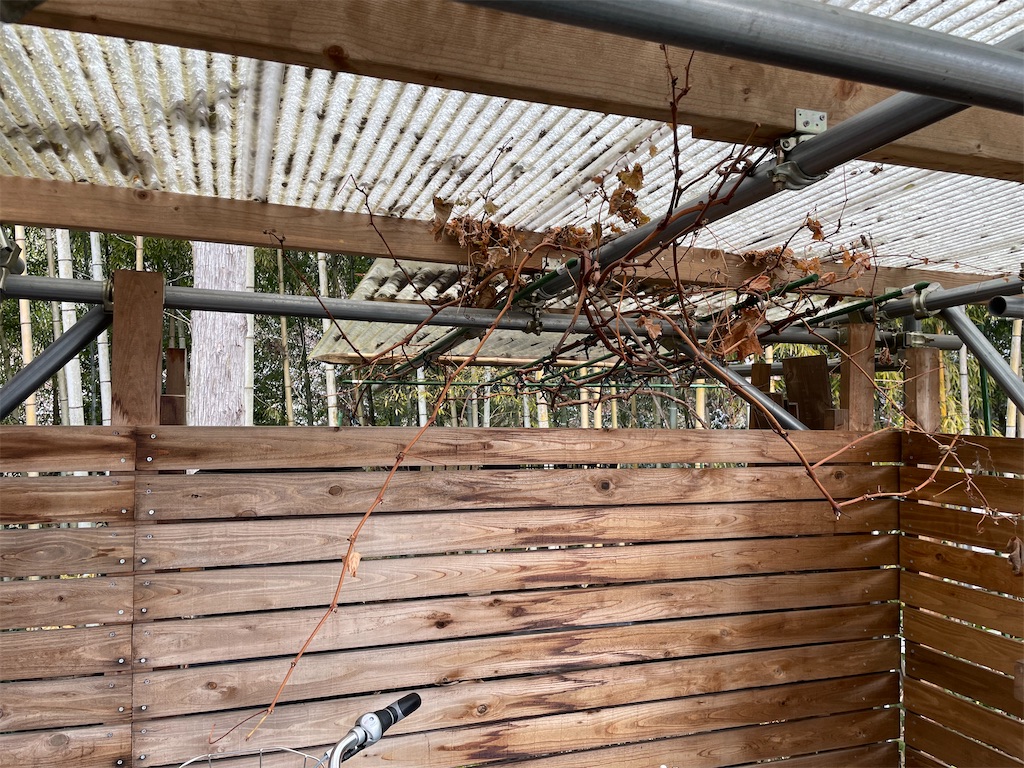 f:id:sakana78:20220115220354j:image