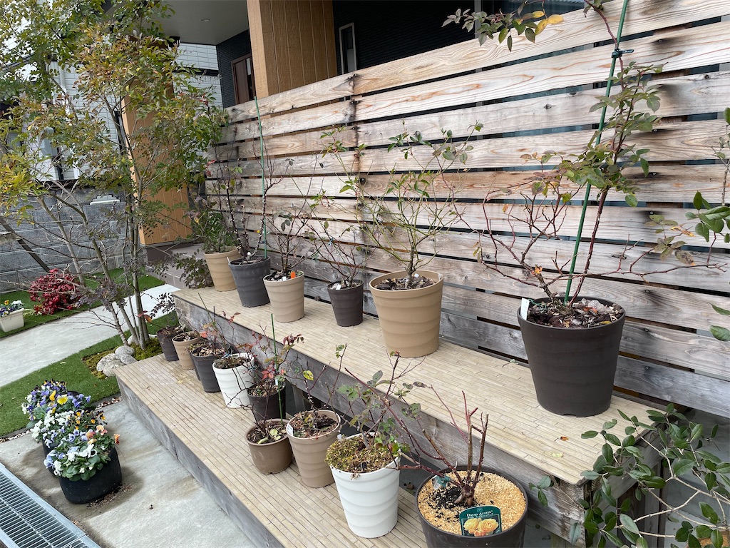 f:id:sakana78:20220119003231j:image
