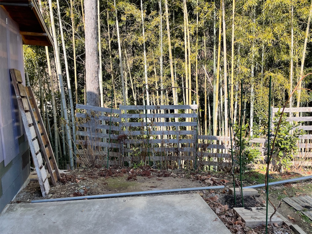 f:id:sakana78:20220120214947j:image