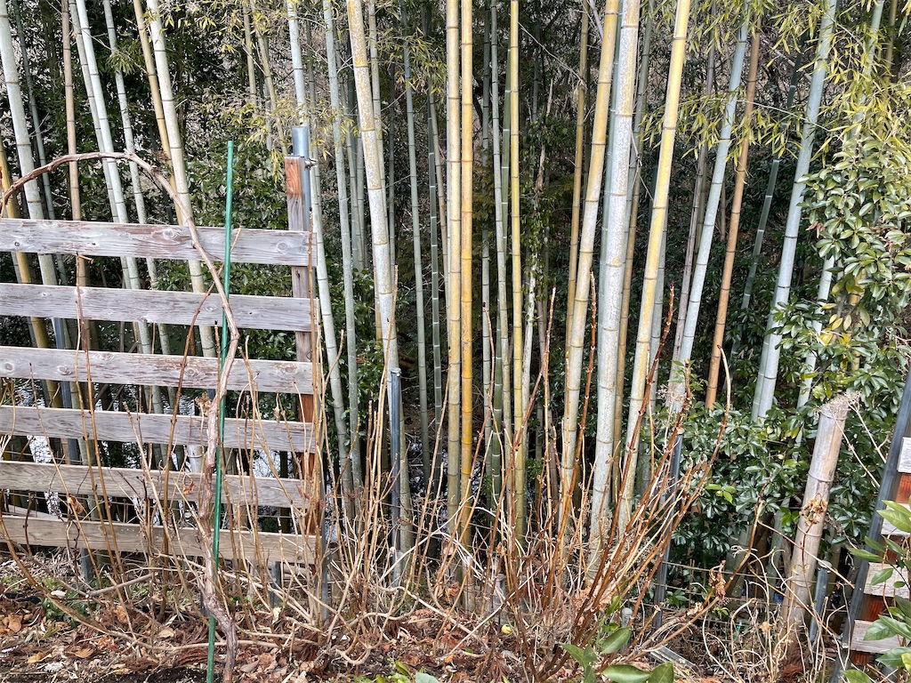 f:id:sakana78:20220220194119j:image f:id:sakana78:20220220194119j:image