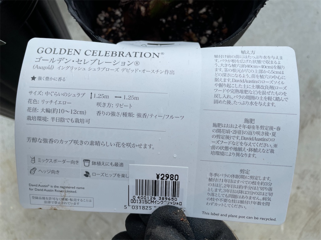f:id:sakana78:20220328231919j:image f:id:sakana78:20220328231919j:image