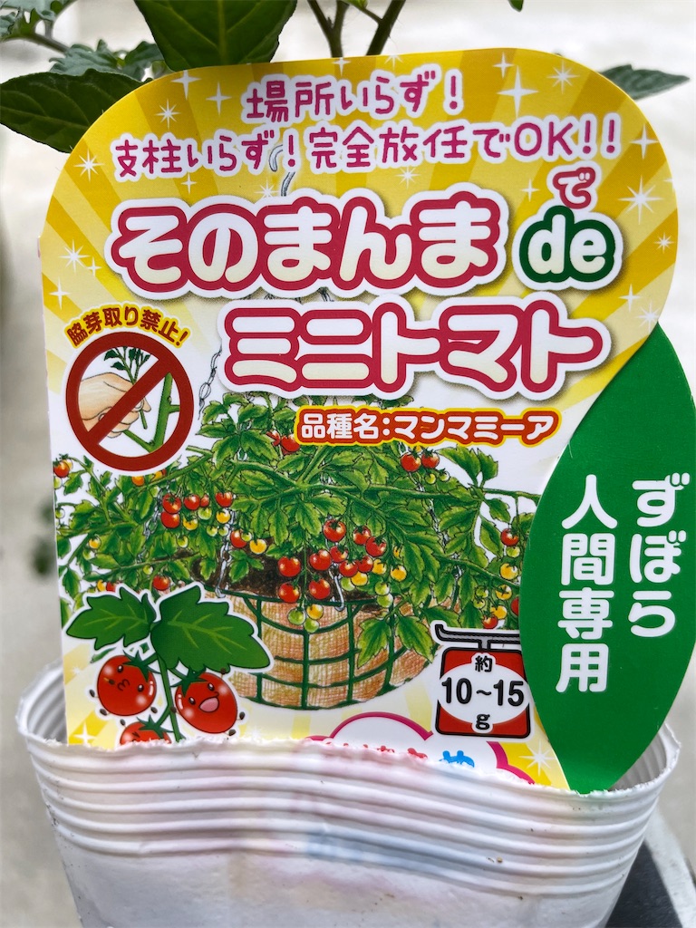 f:id:sakana78:20220405220534j:image f:id:sakana78:20220405220534j:image