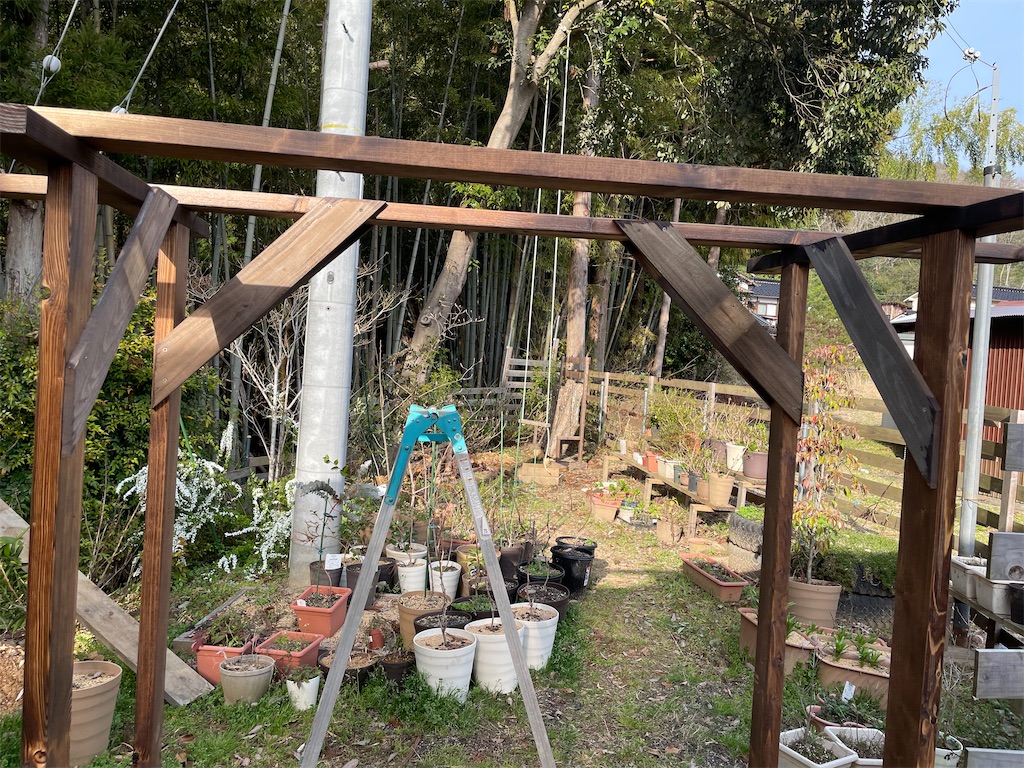 f:id:sakana78:20220406223301j:image f:id:sakana78:20220406223301j:image