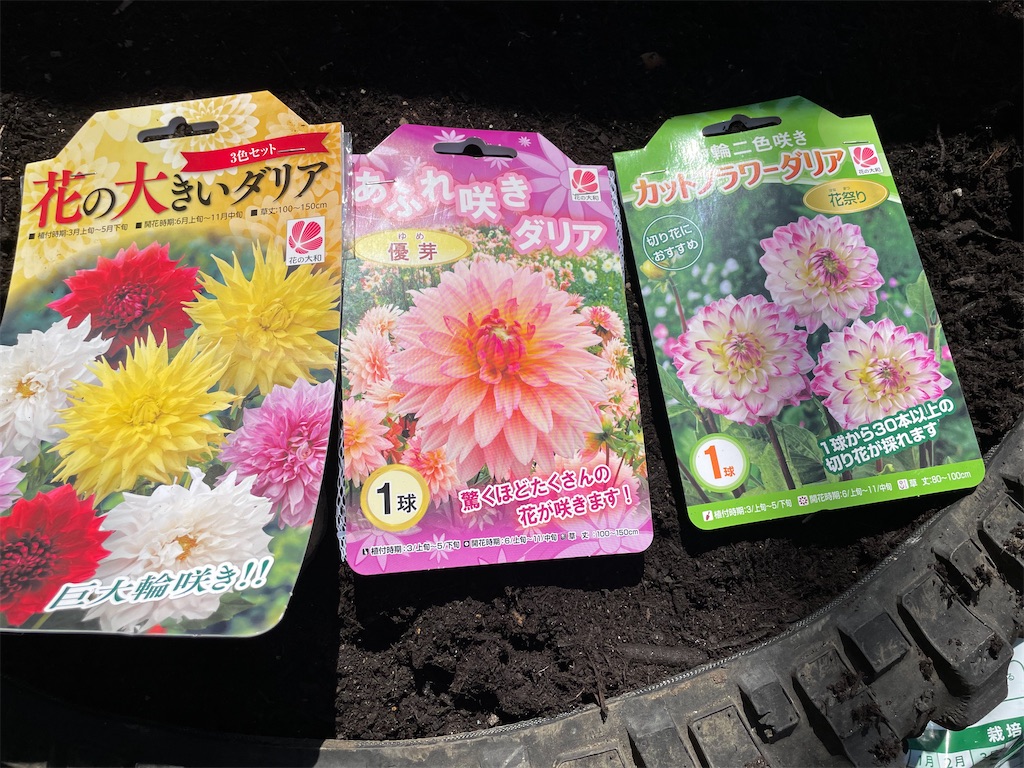 f:id:sakana78:20220409214504j:image f:id:sakana78:20220409214504j:image