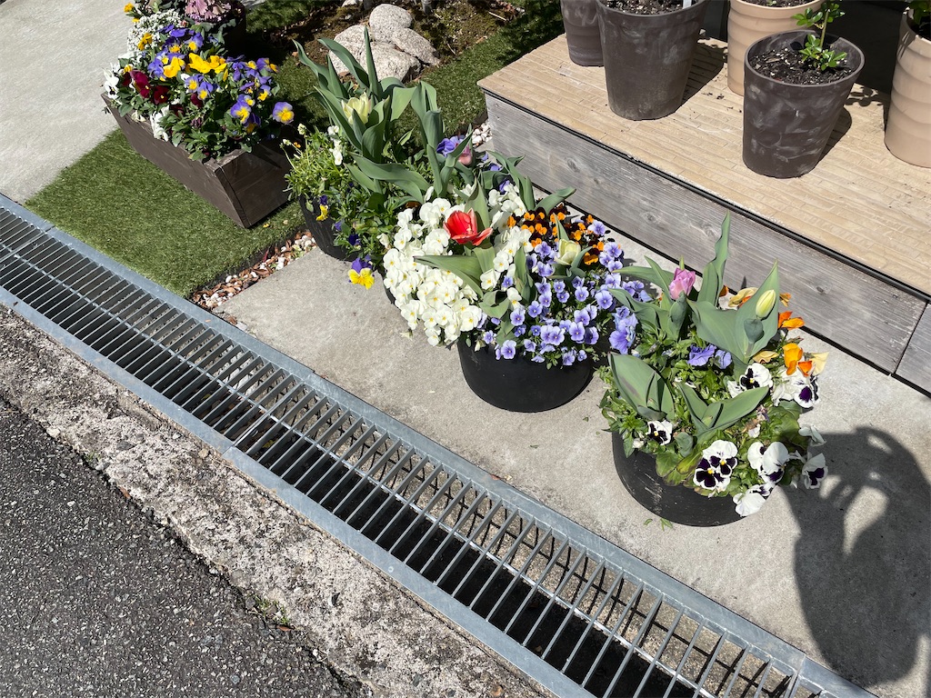 f:id:sakana78:20220410200010j:image
