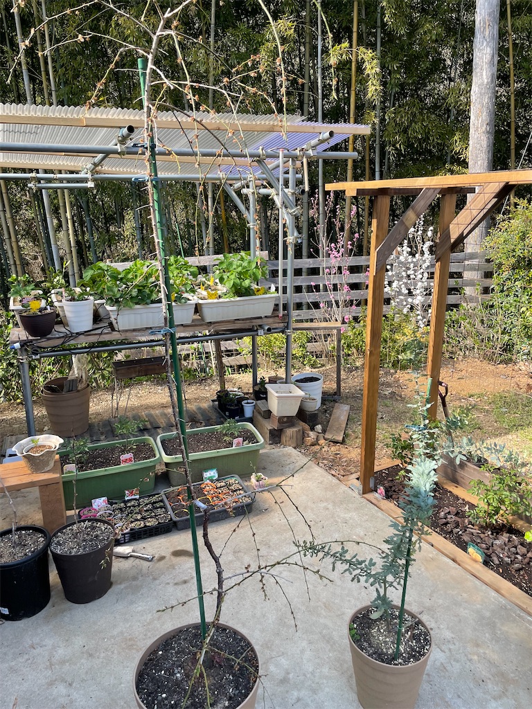 f:id:sakana78:20220415230546j:image