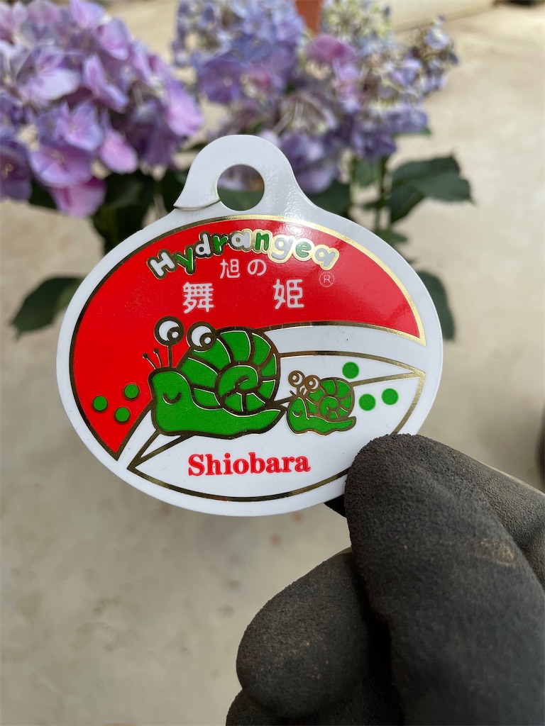 f:id:sakana78:20220511221146j:image f:id:sakana78:20220511221146j:image