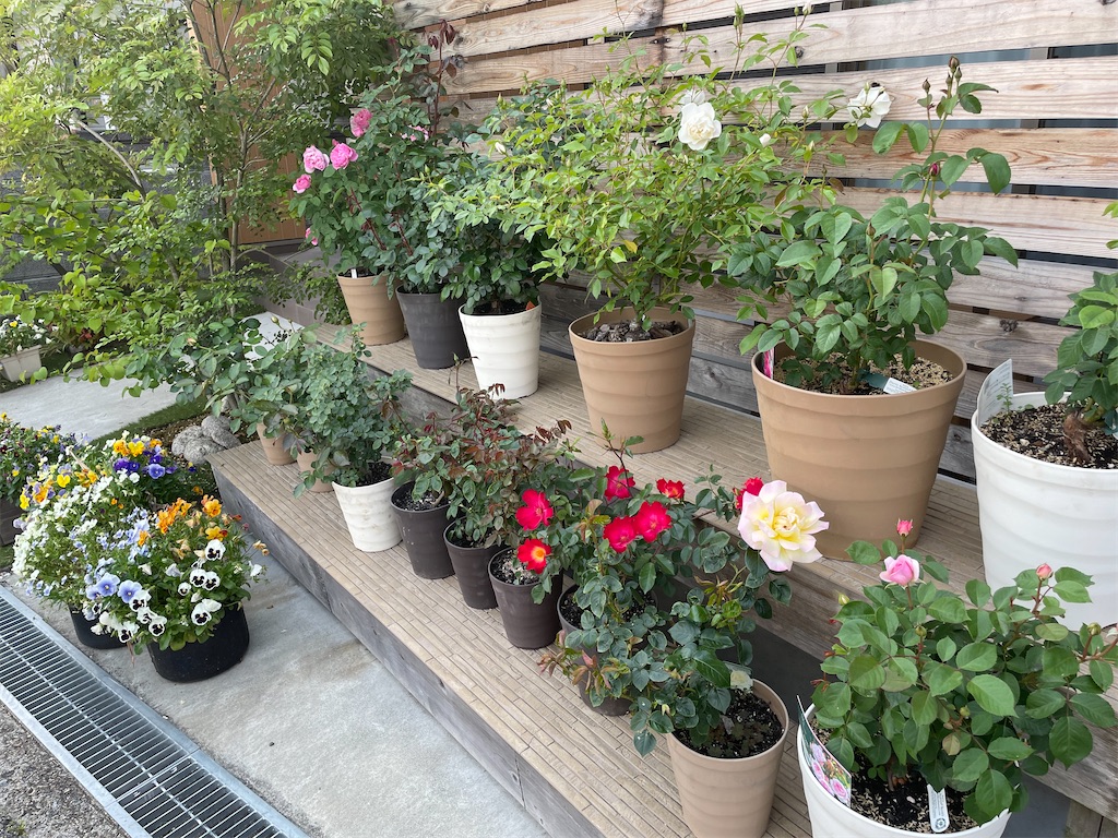 f:id:sakana78:20220512225635j:image