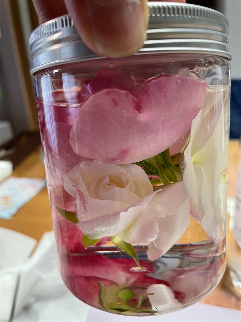 f:id:sakana78:20220516000301j:image f:id:sakana78:20220516000301j:image