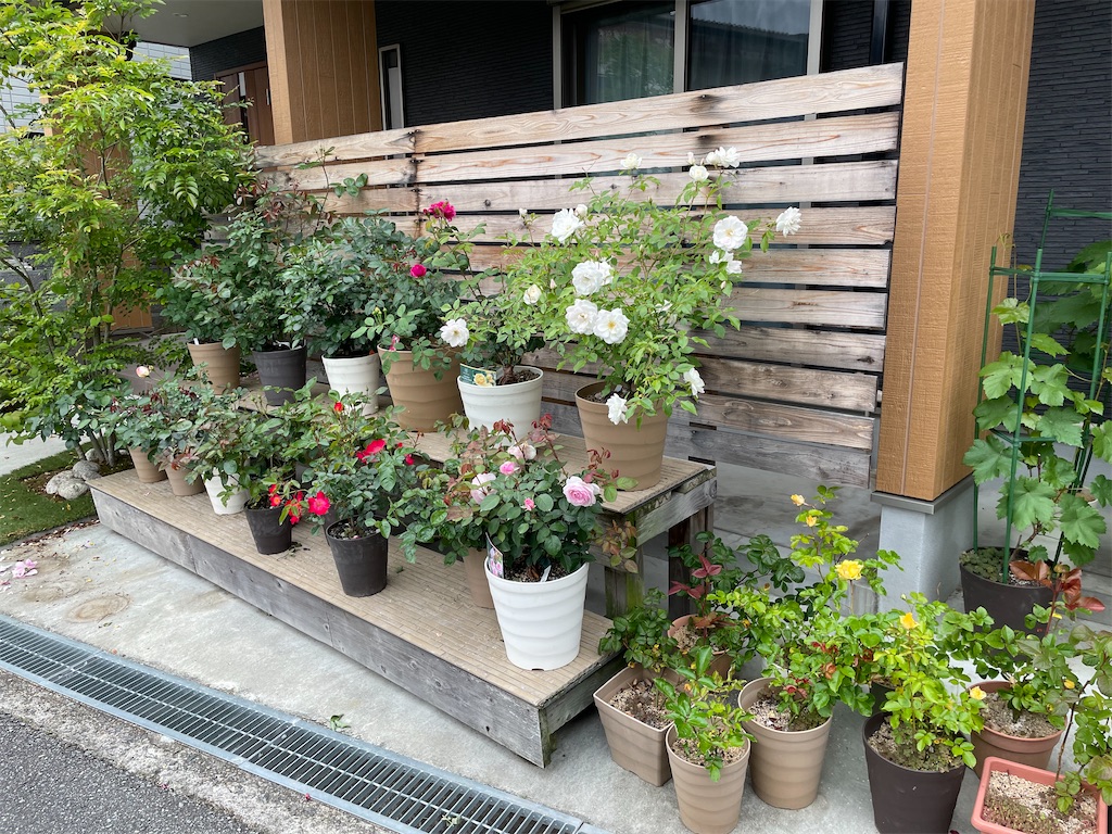 f:id:sakana78:20220524201622j:image