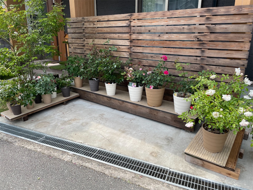 f:id:sakana78:20220524202204j:image