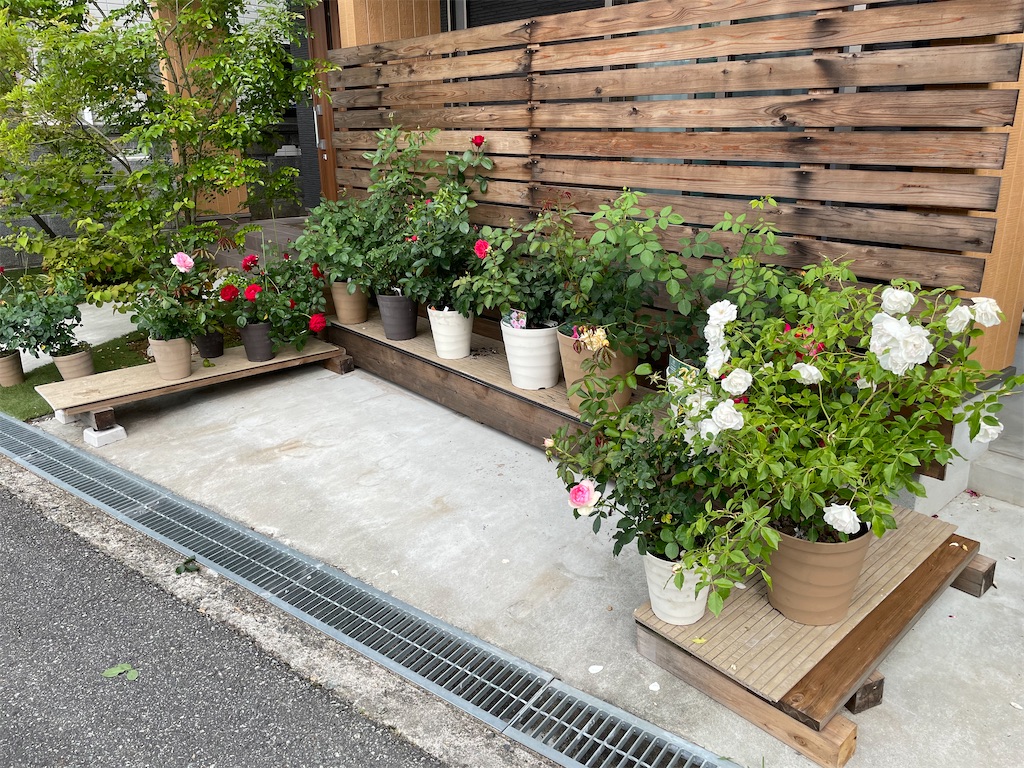 f:id:sakana78:20220603182741j:image