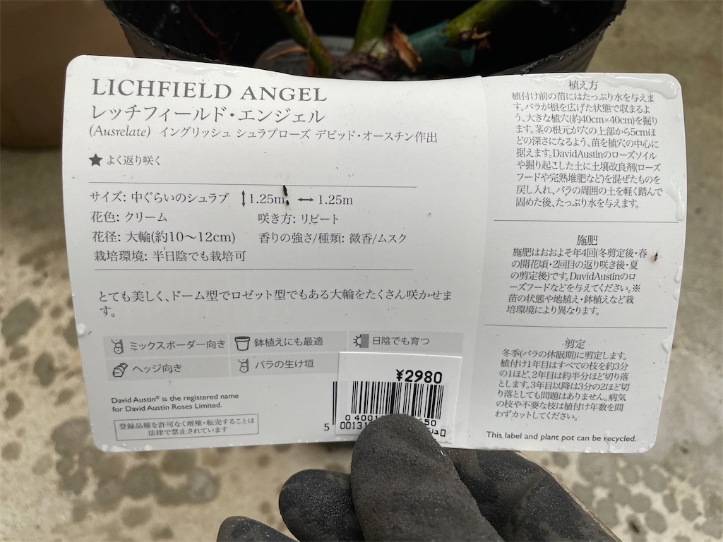 f:id:sakana78:20220604212025j:image