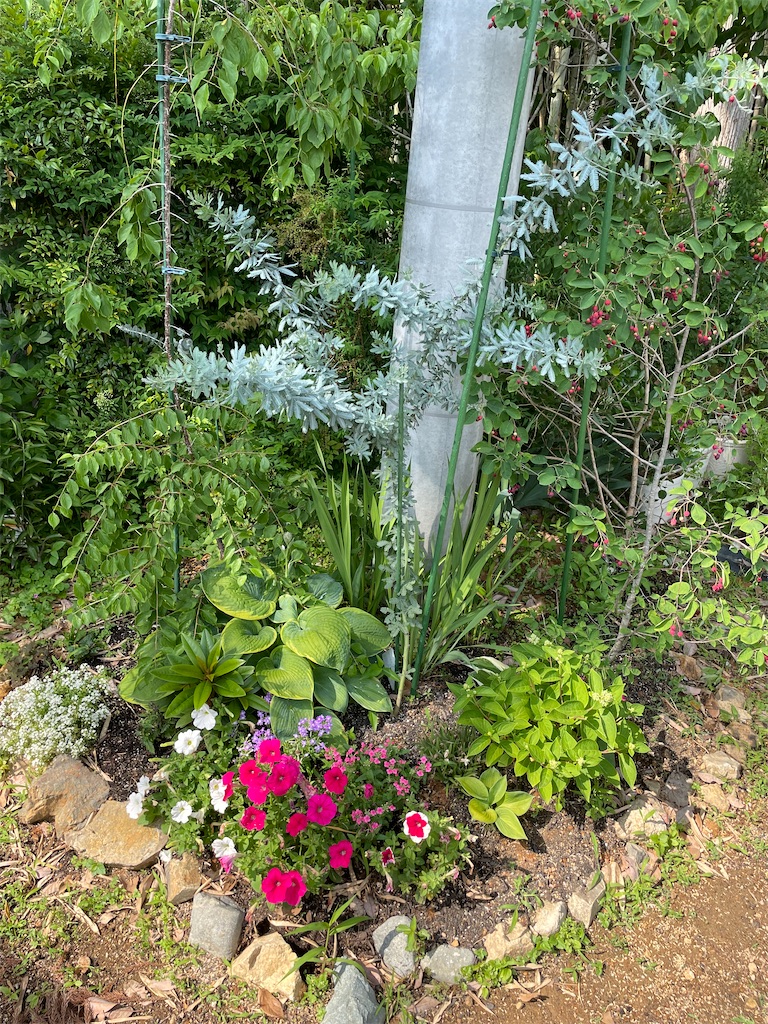f:id:sakana78:20220607202614j:image