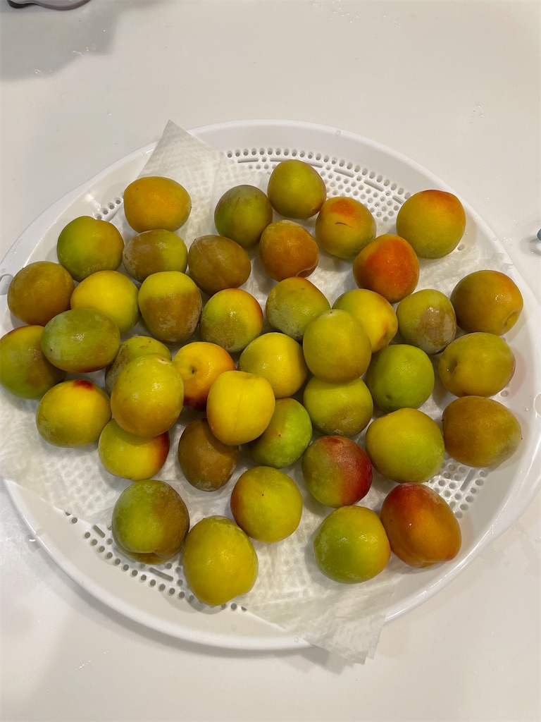f:id:sakana78:20220706223502j:image