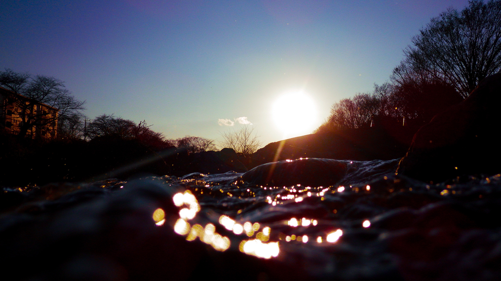 f:id:sakana_camera:20190117165934j:plain