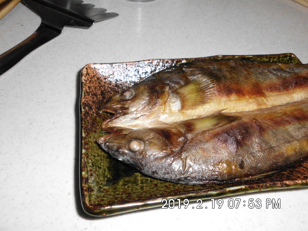 f:id:sakanahakase:20190219220112j:plain f:id:sakanahakase:20190219220112j:plain