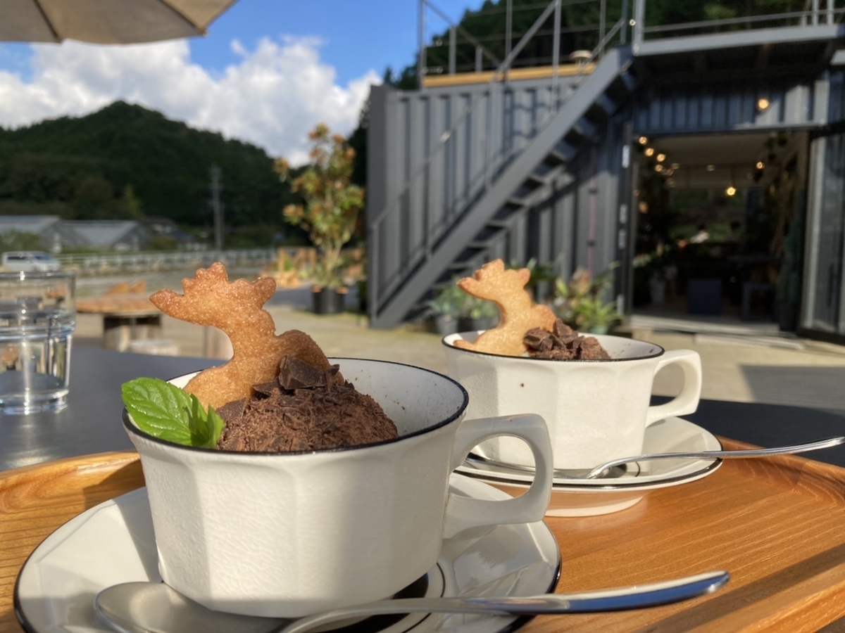 遊べる花屋さん・チョコミントアイス