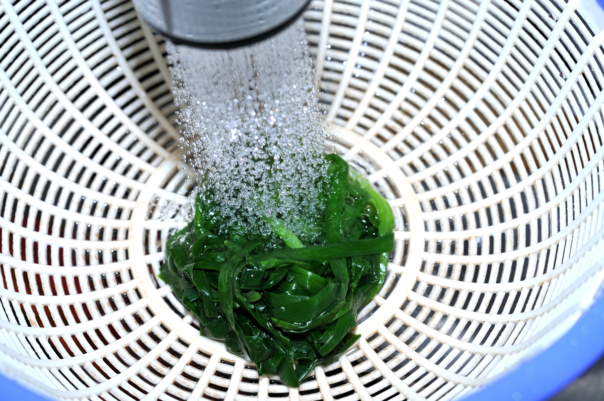 f:id:sakanaya-sandaime:20200818164359j:plain