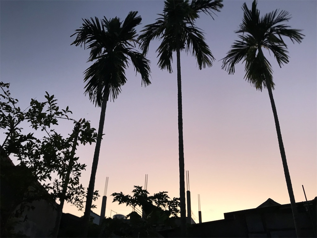 f:id:sakaneji:20190619002356j:image f:id:sakaneji:20190619002356j:image
