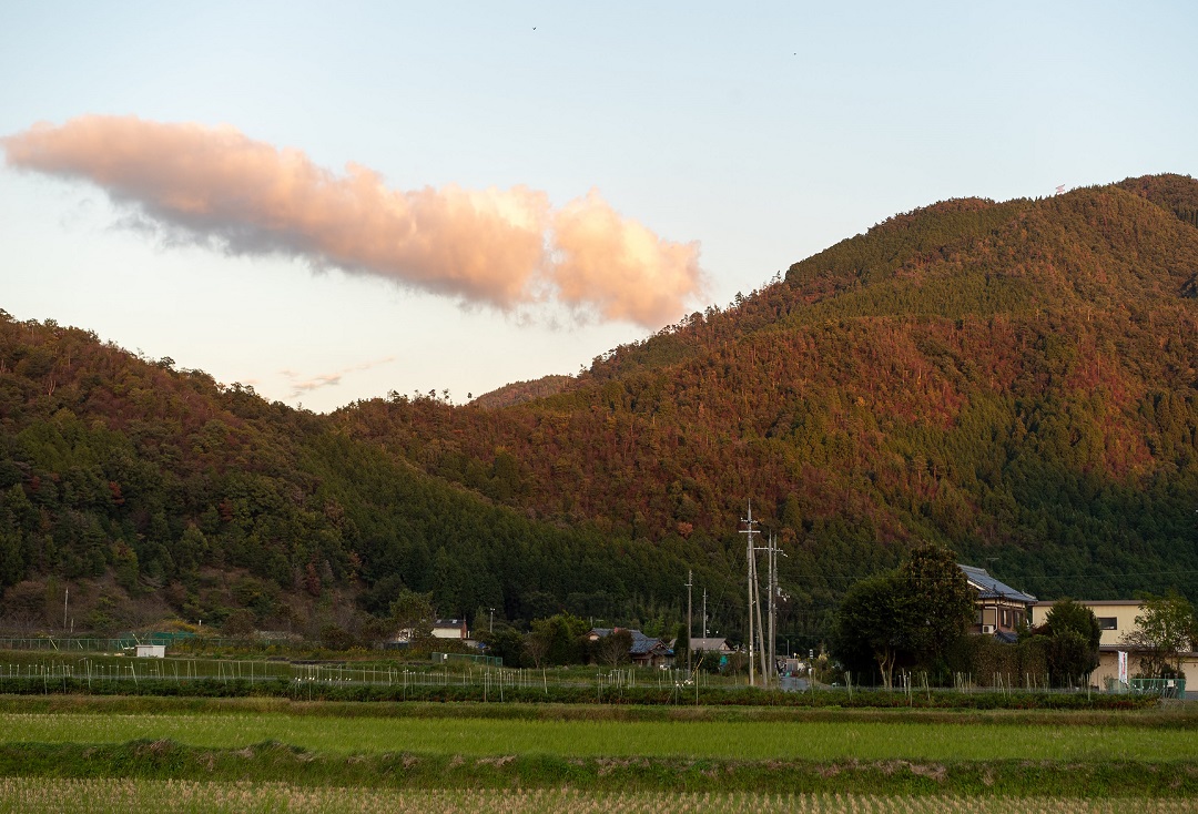 やまのあいだファーム