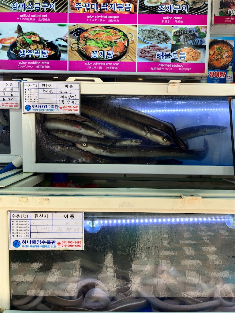 f:id:sakariba:20230808101943j:image f:id:sakariba:20230808101943j:image