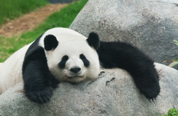 f:id:sakasakaykhm:20180226220713p:plain f:id:sakasakaykhm:20180226220713p:plain