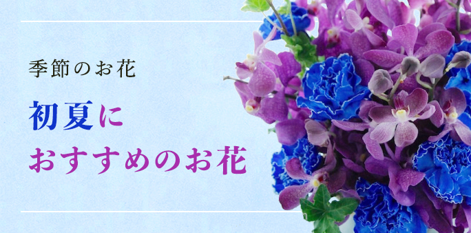 オーダーメイドのスタンド花 フラスタ 楽屋花 祝い花 Sakaseru スタッフブログ