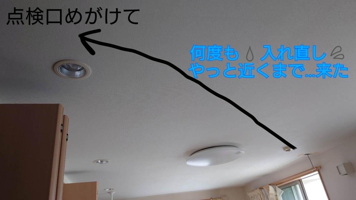 f:id:sakatchan:20200708162643j:plain f:id:sakatchan:20200708162643j:plain