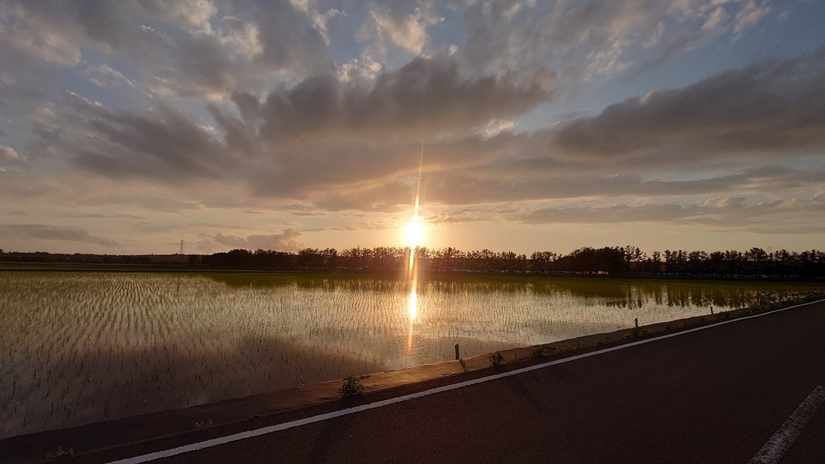 f:id:sakatchan:20210604103226j:plain