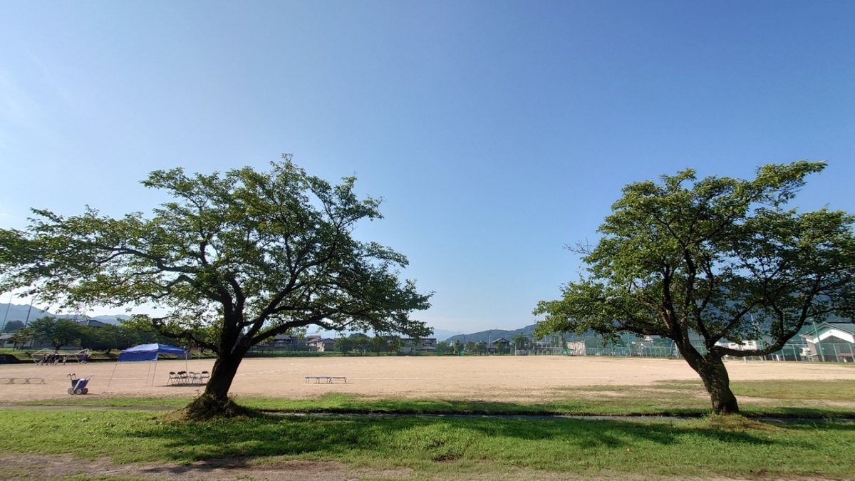 f:id:sakatchan:20210811022247j:plain