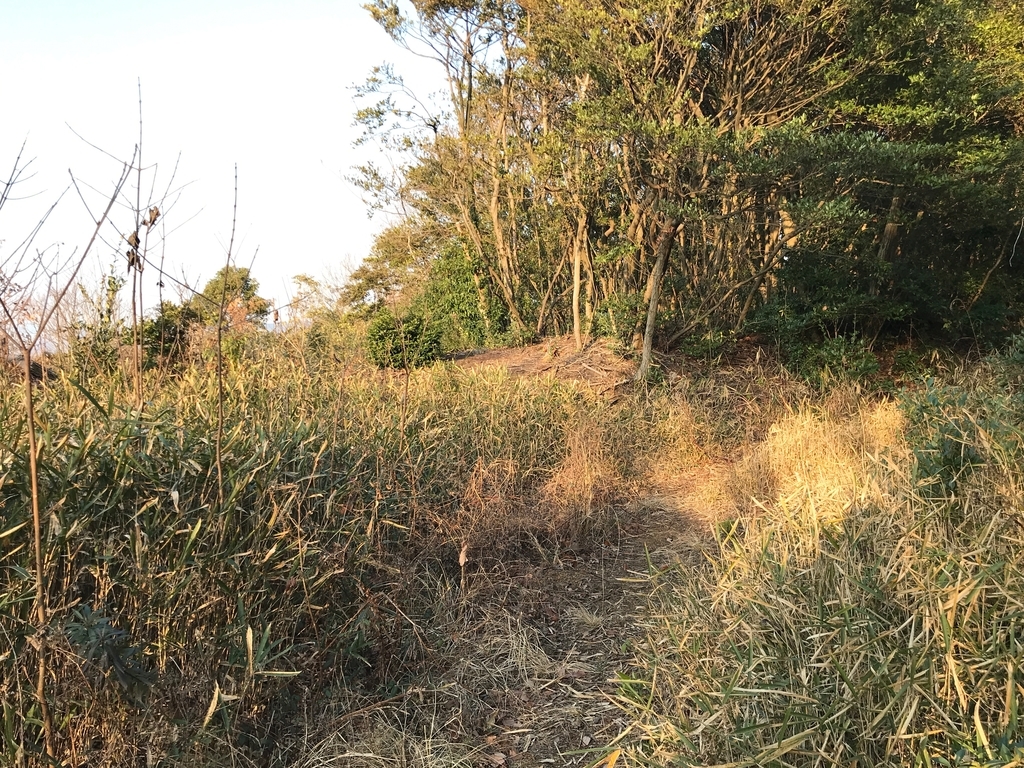 f:id:sakato0927:20190130162809j:plain:w600 f:id:sakato0927:20190130162809j:plain:w600