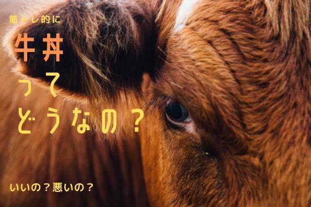 f:id:sakato0927:20190625110920j:plain 筋トレ的に牛丼はどうなの?【私にとってマストな理由】