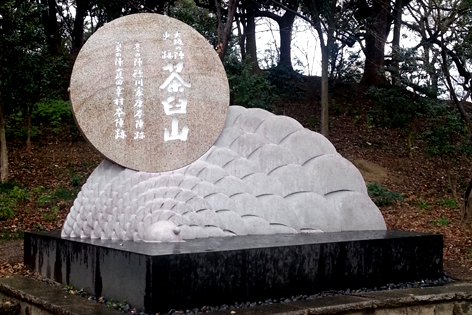 f:id:sakatsu_kana:20170110203544j:plain f:id:sakatsu_kana:20170110203544j:plain