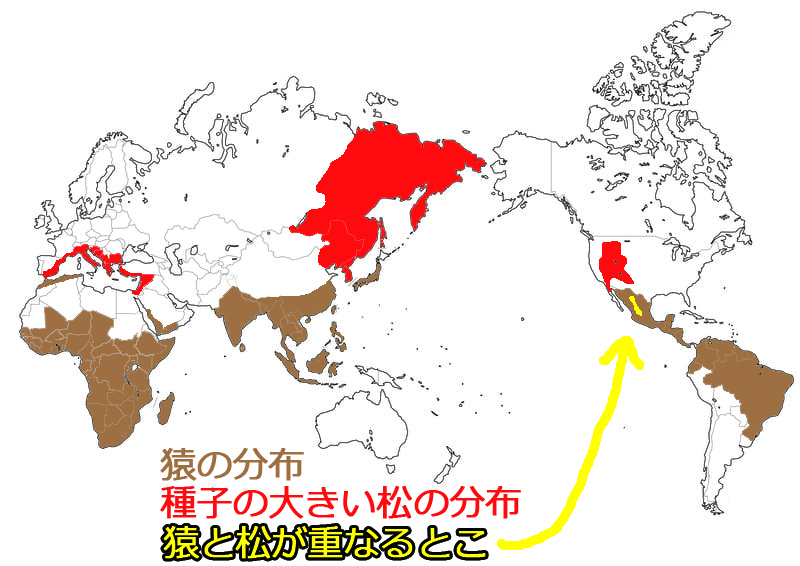 まつぼっくりが あったとさ かなり まつぼっくりが あったとさ かなり