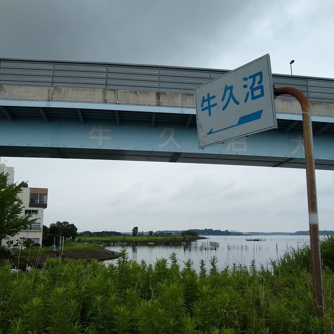f:id:sakayuu18:20200725131143j:plain