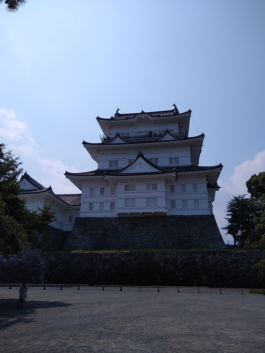 f:id:sakayuu18:20200817162359j:plain