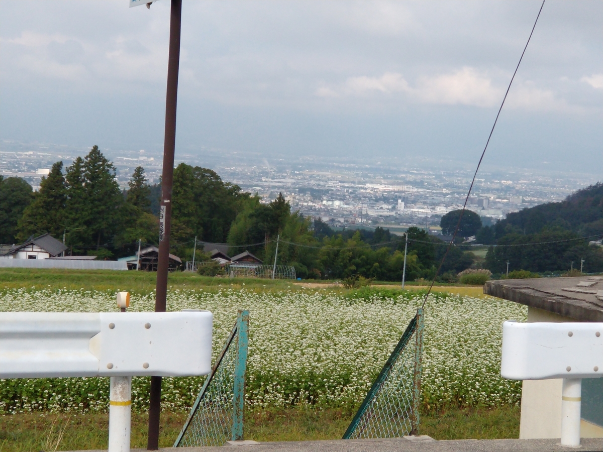 f:id:sakayuu18:20200929191049j:plain