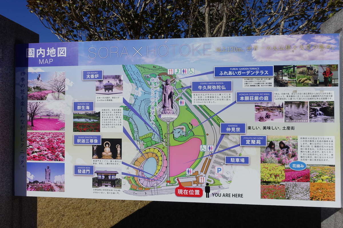 f:id:sakayuu18:20210131093334j:plain