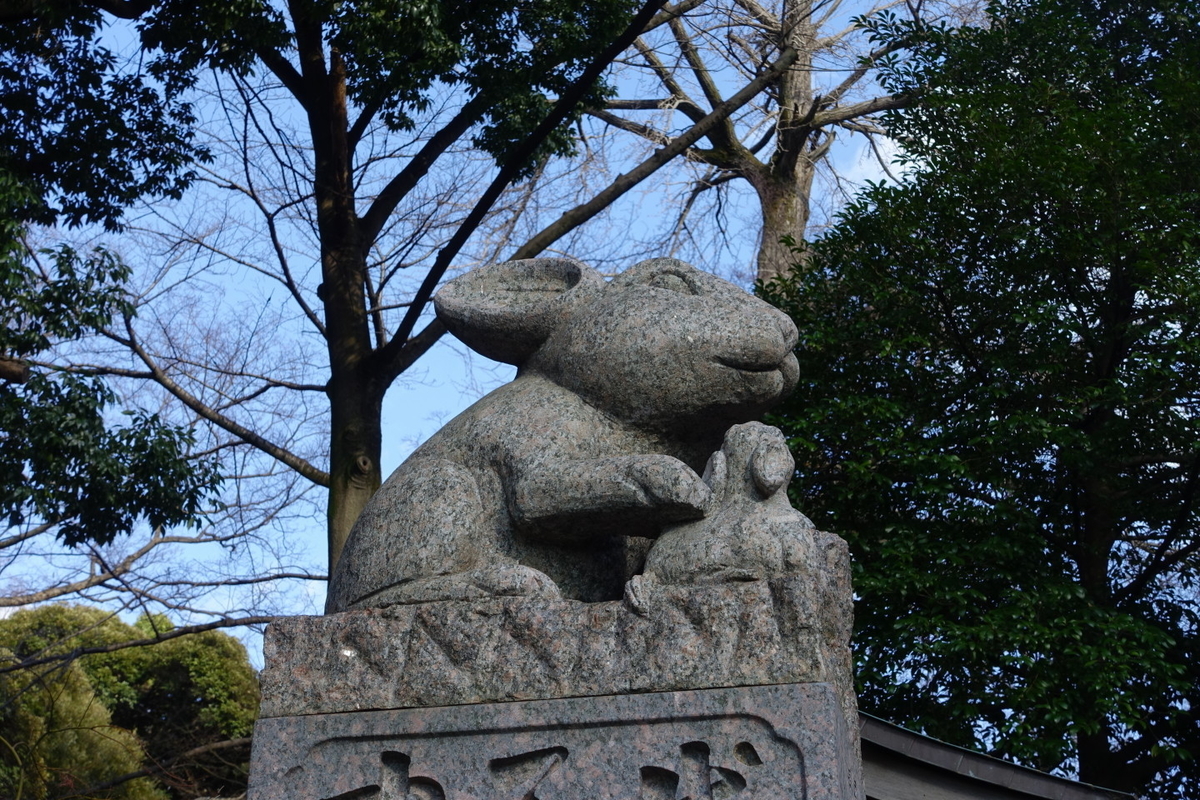 f:id:sakayuu18:20210214203105j:plain